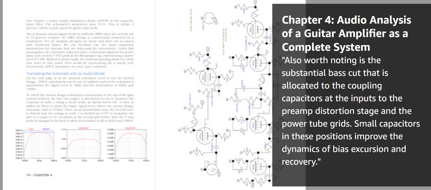 Guitar Amplifier Electronics Circuit Simulation book excerpt