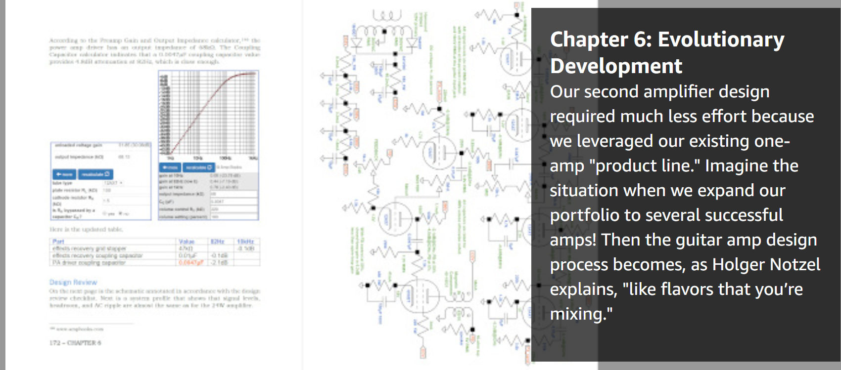 Fundamentals of Guitar Amplifier System Design book excerpt